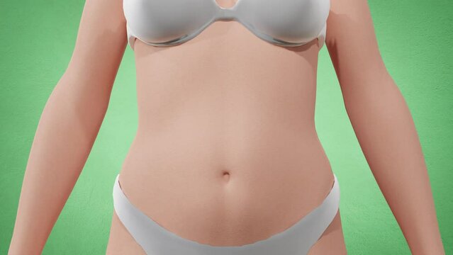 4K 3D animation of body obesity. Woman body weight gain belly growth waist reduction body get more obese