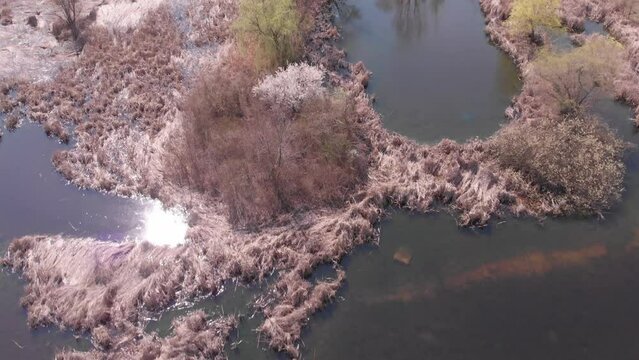 Vacaresti Nature Park, Bucharest. View from the drone