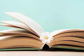 Naklejka premium World book and Copyright day, Education concept on Blue Mint Background.