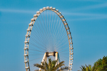 Cityscape with beautiful park with palm trees in Dubai, UAE  