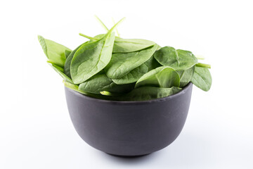 Green spinach on a white background