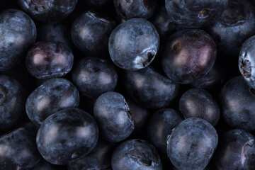 Blueberries on white background