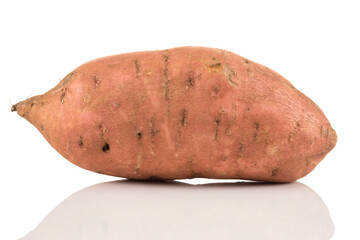Sweet potato on the white background
