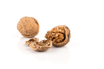 Walnut nut on white