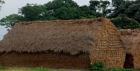 Fototapeta na wymiar hay bales in a village
