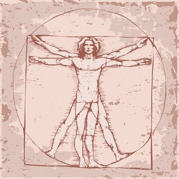 Vinci, icon Vetruvian Man, vector human body anatomy