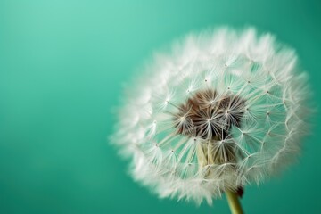  a dandelion is blowing in the wind on a green background with a blurry image of the dandelion in the foreground.  generative ai