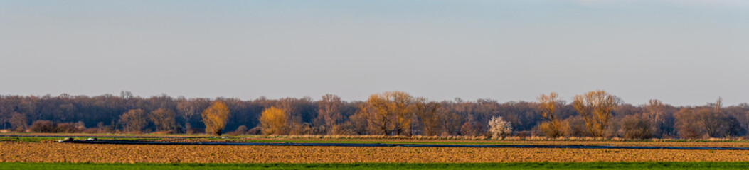 Terre agricole de la plaine d'Alsace à la sortie de l'hiver, CEA, Alsace, Grand Est, France