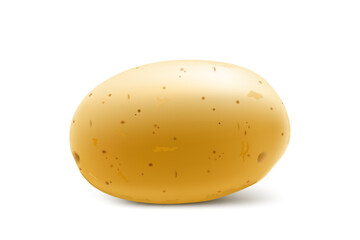 Raw whole yellow potato. Young potato mockup for web design isolated on white background. Vegetable fresh natural product, healthy lifestyle, eating concept. 3d realistic vector illustration