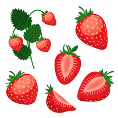 Vector illustration of a set of ripe strawberries, pieces. fruit slices and leaves. Fruit illustration in flat style isolated on white background.