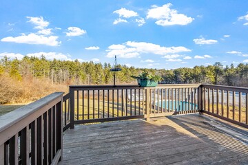 Wooden bridge with fir forest trees in distance against a blue sky