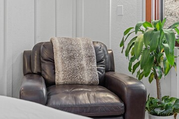 a brown chair sitting by a window in front of a plant