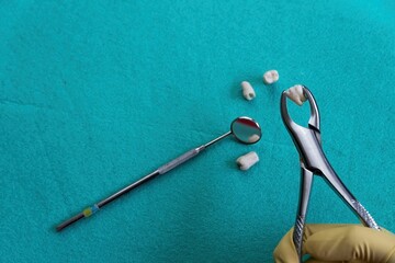 Closeup of removed teeth with extraction forceps with the blue disposable field in the background
