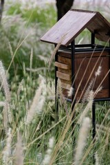 Closeup of a wooden rest house for bees, hive for bees. Take care of insects in your garden