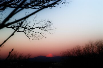 Golden purple sunset over the mountain