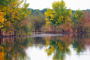 A small quiet river or pond with trees and bushes on the opposite Bank.