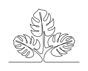 Monstera plant in continuous line drawing style. Vector illustration.