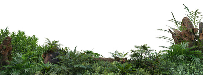 Fototapeta premium Foreground flowers and a variety of small shrubs on a transparent background.