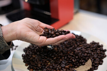 The barista checks the quality of the coffee beans before pouring them into the coffee machine