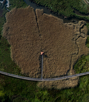 Aerial view of natural marshes by Ulla river in Catoira, Pontevedra, Galicia, Spain.