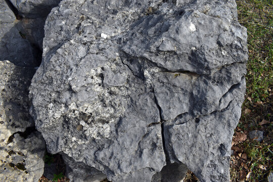 Jurassic (Kimmeridgian) oolitic limestone, about 155 Mya