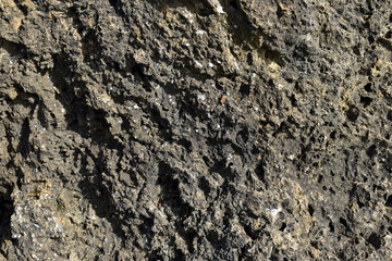 Carniola, a carbonate and evaporitic sedimentary rock from the Jurassic.