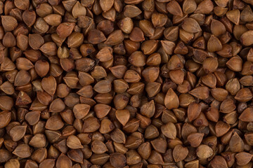 Buckwheat texture