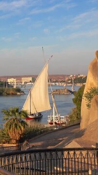 Beautiful landscape with felucca boats on Nile river in Aswan at sunset, Egypt. Vertical video