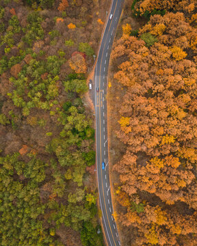 Aerial view of a road leading to Mount Haruna during koyo season, Gunma, Japan.
