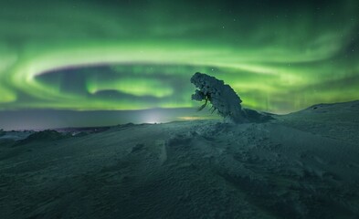 Obraz na płótnie Canvas Snow-covered field under the beautiful Aurora Borealis sky