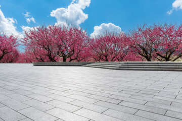 City square floor and plum flower background