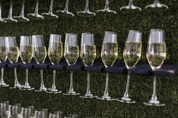 Decor for a wedding or party in the Italian style.Champagne glasses are mounted on a stand on the vertical wall of the green lawn. 