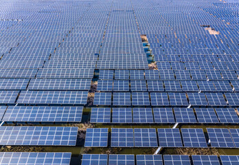 Fototapeta premium Aerial view of solar panels