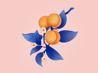 Colorful illustration of apricot brunch with juicy fruits