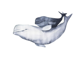 Watercolor white whale ilustration isolated on white background.  Watercolor cute white whale. Hand painting postcard with white whale isolated white background. Ocean animals. © Kat_branch_art