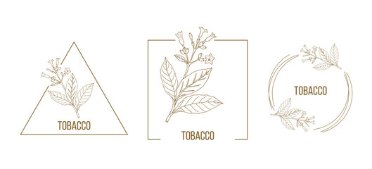 Tobacco floral hand drawn logo template