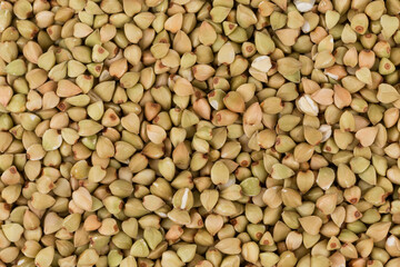 organic bio buckwheat