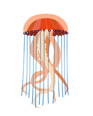 Jellyfish vector icon. Cartoon colorful icon isolated on white background. Beautiful silhouette for tattoo design, festive card, fashion ornaments, logo, children, pattern. Vector illustration.