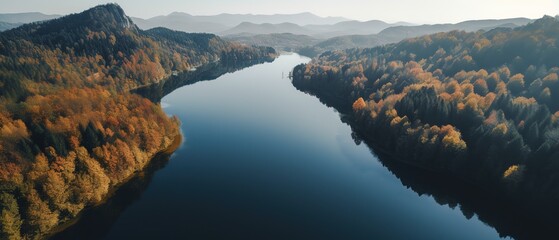 View from the height of the forest and the river in the middle of the forest.Aerial view. Panoramic shot. Generative AI - obrazy, fototapety, plakaty