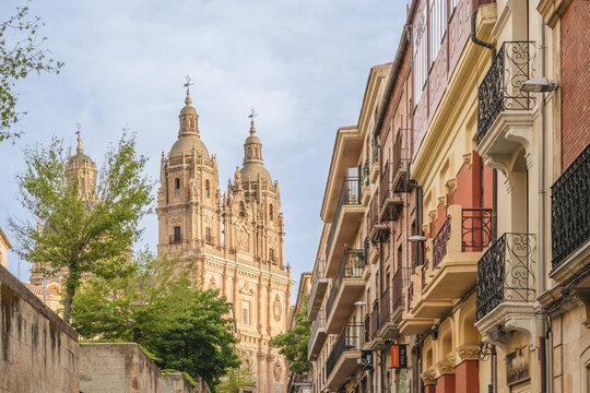 Spain, Castilla y Leon, Salamanca, Row of houses with bell towers of New Cathedral in background