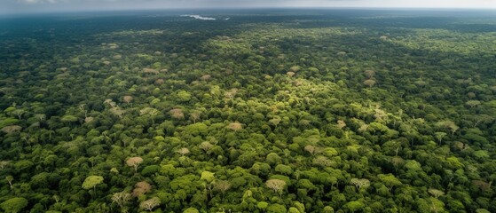 Fototapeta na wymiar Beautiful bird's-eye view of the rainforest.Aerial view. Panoramic shot. Generative AI