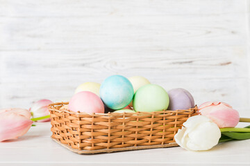 Happy Easter composition. Easter eggs in basket on colored table with yellow Tulips. Natural dyed colorful eggs background with copy space
