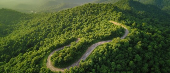 Bird's-eye view of the road in the middle of the forest.Aerial view. Panoramic shot. Generative AI