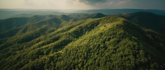 A view from a height of a mountain peak with green trees in the fog.Aerial view. Panoramic shot. Generative AI