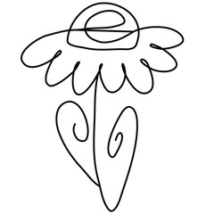 One line hand draw camomile illustration. Vector hand draw flower.