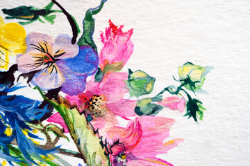 Watercolor painting, herbs and flowers on a white background.