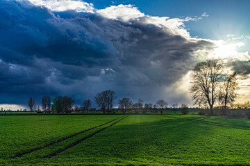 Frühjahrssturm mit dramatischem Wolkenhimmel über grün leuchtendem Getreidefeld und noch kahlen...