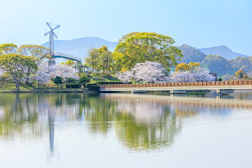 春の駕与丁公園　福岡県糟屋町　
Kayoicho Park in spring. Fukuoka Pref, Kasuya town.