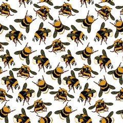 Obraz premium A pattern with an image from a honey bee. Fluffy bees, bumblebees in different poses fly on a white background. natural background with bees. Large and small insects. Printing on textiles and paper