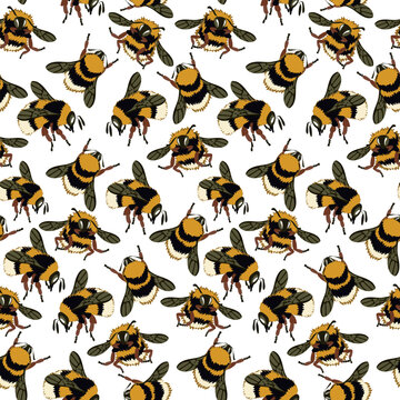 A pattern with an image from a honey bee. Fluffy bees, bumblebees in different poses fly on a white background. natural background with bees. Large and small insects. Printing on textiles and paper
